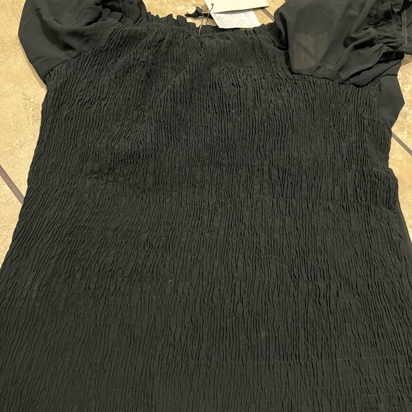 Zenobia - Picture 9 of 9